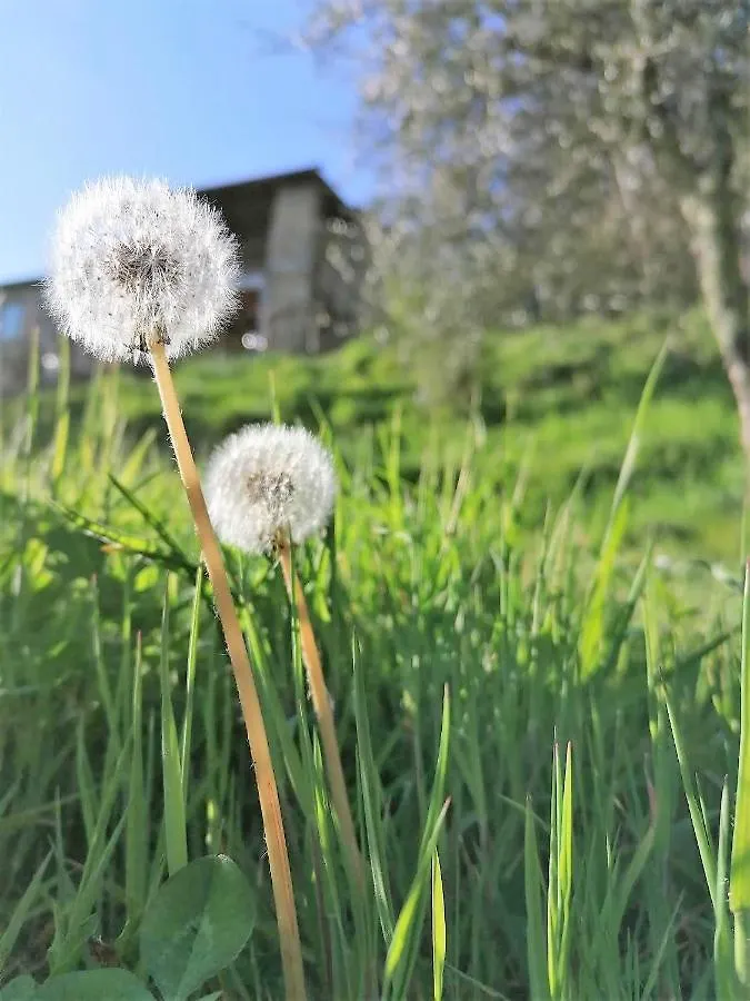 Holiday home La Casa In Valli 35 Villa Bagni di Lucca